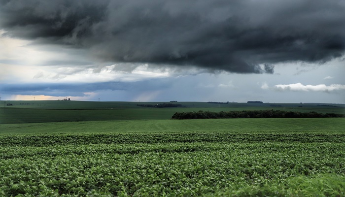  Fevereiro é marcado por chuvas estáveis e temperaturas altas, indica boletim do IDR-Paraná