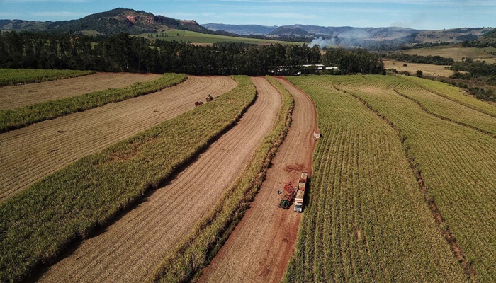  Paraná vai produzir 1,25 bilhão de litros de etanol na atual safra, aponta boletim