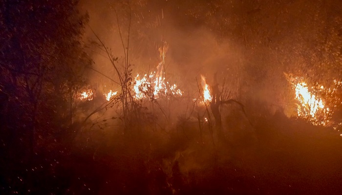  Período mais seco: IAT faz alerta sobre incêndios nas Unidades de Conservação do Paraná