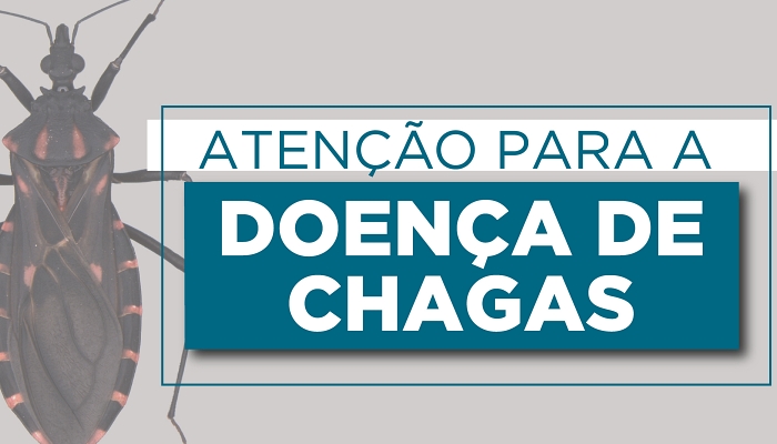 Doença de Chagas: Saúde divulga cartilha que alerta para importância da prevenção e tratamento