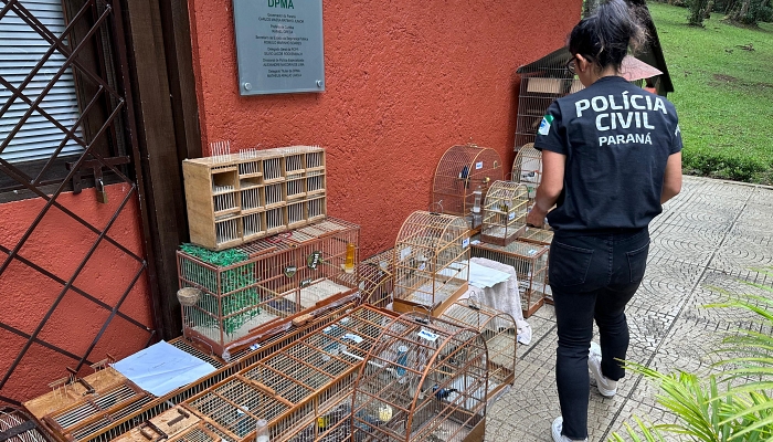 Polícia Civil do Paraná orienta sobre como denunciar maus-tratos a animais
