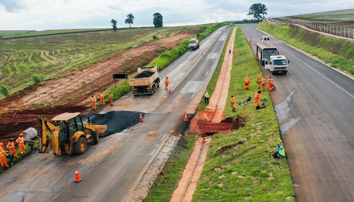  Com 69,6 mil vagas, Paraná foi o terceiro estado que mais gerou empregos no 1º trimestre