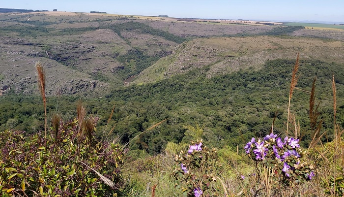  Paraná tem 55 mil hectares em Reservas Particulares de Patrimônio Natural