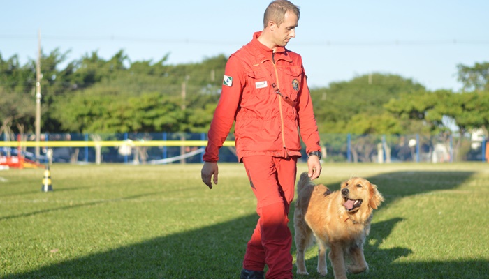 Com certificação nacional de duplas, Paraná amplia número de cães aptos para resgates