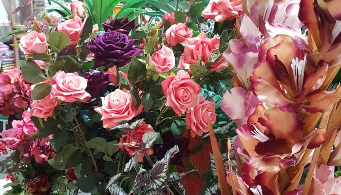  Dia das Mães: produção de rosas dobrou no Paraná na última década