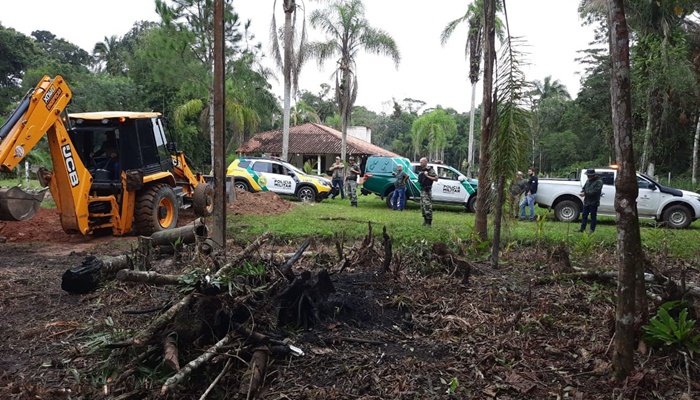  Paraná reduziu desmatamento em 78% em 2023, aponta Fundação SOS Mata Atlântica