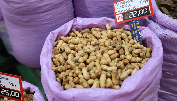  Típico das festas juninas, amendoim tem maior área plantada no Paraná em 12 anos