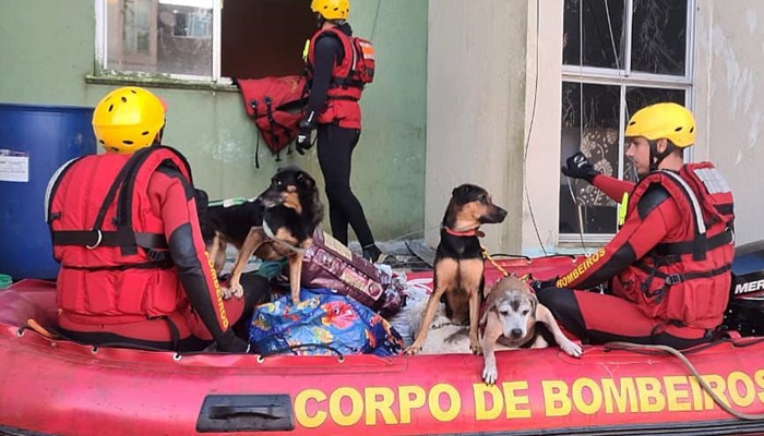  Curso de resposta a desastres preparou bombeiros do Paraná para ação no Rio Grande do Sul