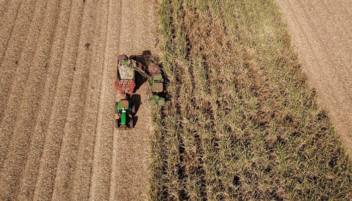  VBP Agropecuário do Paraná cresce 11% em 2023 e alcança R$ 197,8 bilhões