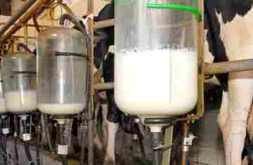  Boletim analisa preços do leite e novos mercados da carne suína do Paraná