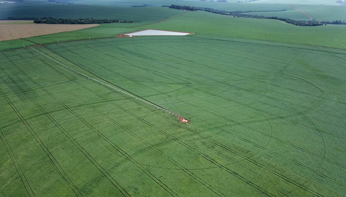  Plano Safra nacional terá R$ 475,5 bilhões; agricultura familiar fica com R$ 76 bilhões