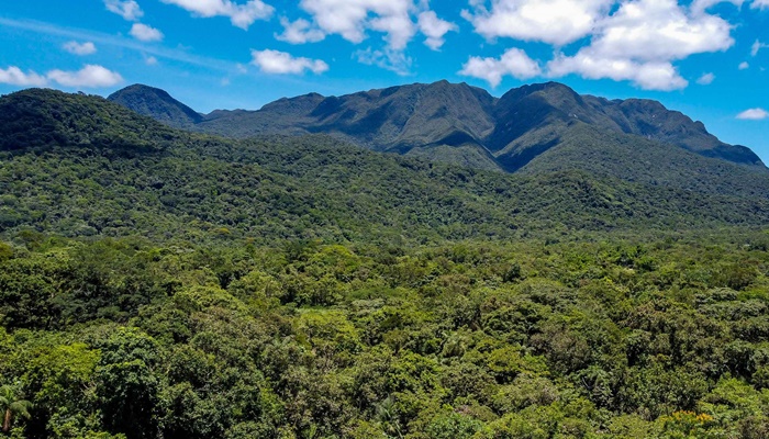  Paraná avança para ser 1º governo subnacional a adotar créditos de biodiversidade