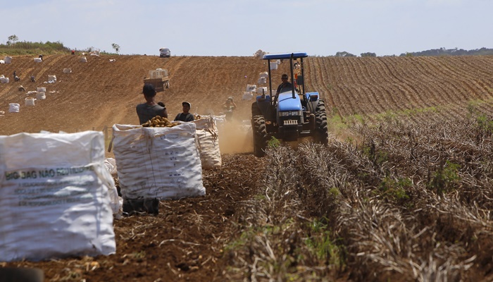 Governo libera R$ 210 milhões para o seguro rural no Rio Grande do Sul