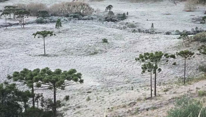  Semana começa com alerta de geada no Sul do país e chuva no Norte