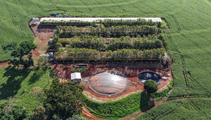  Produção de biogás a partir da suinocultura gera renda extra para produtores do Paraná