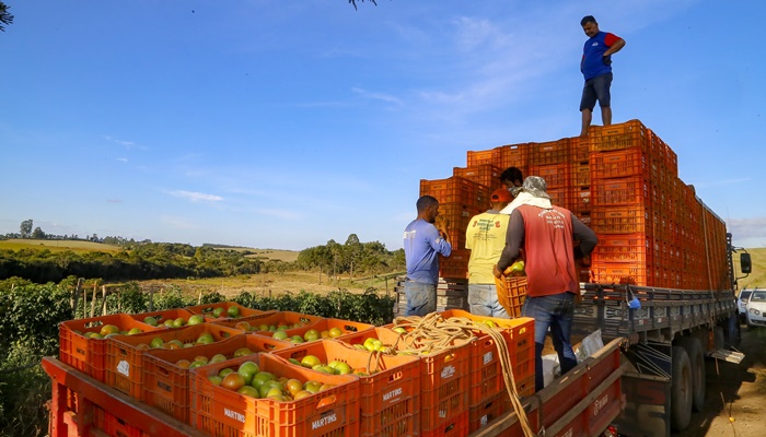  Investimentos do Paraná na agricultura cresceram 344% no primeiro semestre de 2024