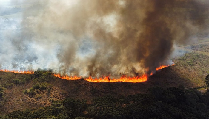  IAT ajuda a combater três novos focos de incêndio florestal no Paraná