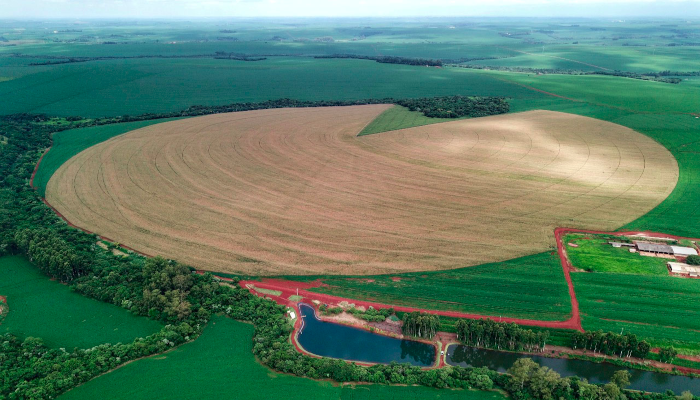 Safra 24/25 do Paraná pode chegar a 25,3 milhões de toneladas de grãos