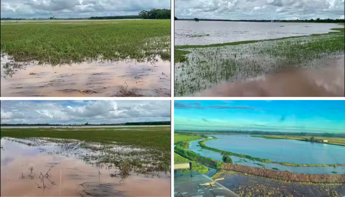 Chuva bate recorde no Paraná e alaga lavouras de arroz