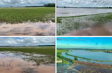 Chuva bate recorde no Paraná e alaga lavouras de arroz