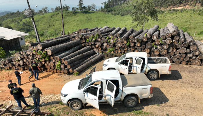 Multa por crimes ambientais cresce 24% no Paraná entre janeiro e novembro de 2024