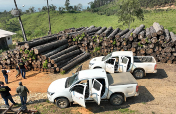 Multa por crimes ambientais cresce 24% no Paraná entre janeiro e novembro de 2024