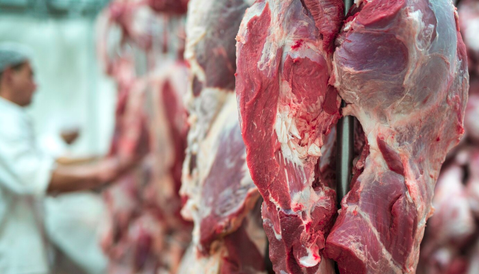 Demanda por Carne Bovina Deve Diminuir em 2025