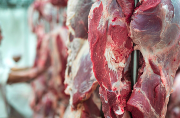 Demanda por Carne Bovina Deve Diminuir em 2025