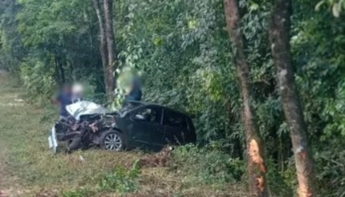 Catanduvas - Carro Colide com Árvores e Placa de Sinalização