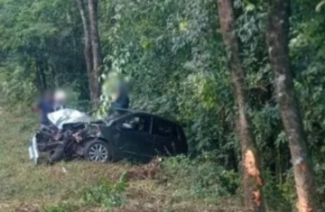 Catanduvas - Carro Colide com Árvores e Placa de Sinalização