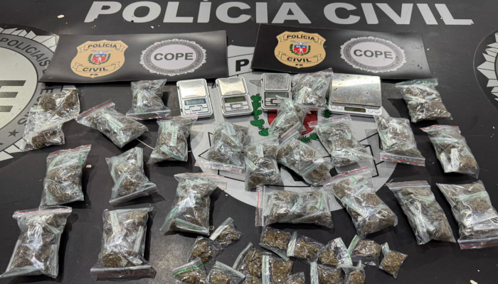 Polícia Civil prende em SC líder de organização criminosa com braços no Paraná