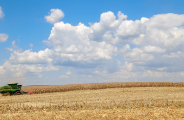 Paraná cresce acima da média nacional em 2023 e mantém 4º maior PIB do País