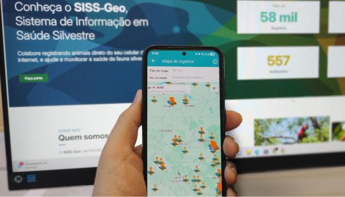 Inteligência georreferenciada mantém Paraná livre de casos locais de febre amarela