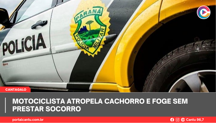 Cantagalo - Motociclista atropela cachorro e foge sem prestar socorro