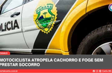 Cantagalo - Motociclista atropela cachorro e foge sem prestar socorro