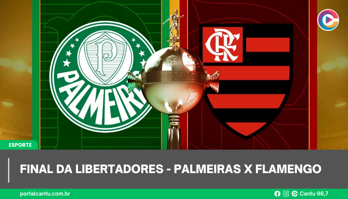 Final da Libertadores - Palmeiras x Flamengo