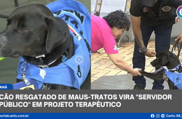 Cão resgatado de maus-tratos vira 