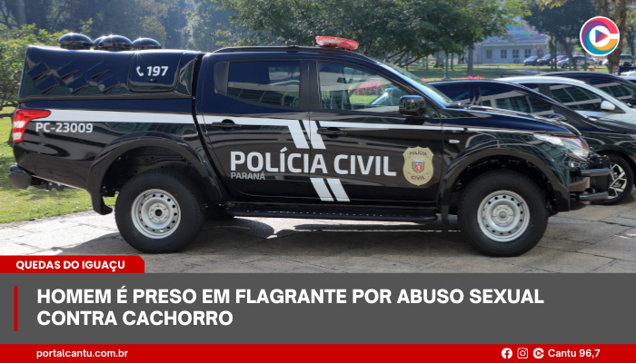 Quedas do Iguaçu - Homem é preso em flagrante por abuso sexual contra cachorro