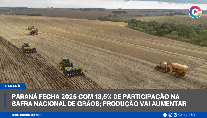Paraná fecha 2025 com 13,5% de participação na safra nacional de grãos; produção vai aumentar