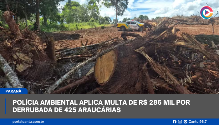 Polícia Ambiental aplica multa de R$ 286 mil por derrubada de 425 araucárias