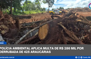 Polícia Ambiental aplica multa de R$ 286 mil por derrubada de 425 araucárias