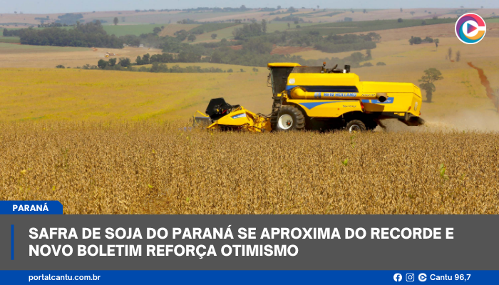 Safra de Soja do Paraná se aproxima do recorde e novo boletim reforça otimismo