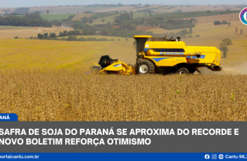 Safra de Soja do Paraná se aproxima do recorde e novo boletim reforça otimismo
