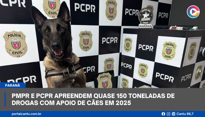 PMPR e PCPR apreendem quase 150 toneladas de drogas com apoio de cães em 2025
