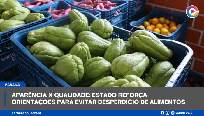 Aparência x qualidade: Estado reforça orientações para evitar desperdício de alimentos