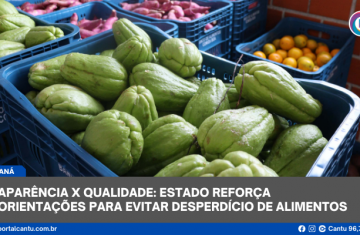 Aparência x qualidade: Estado reforça orientações para evitar desperdício de alimentos