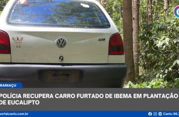 Guaraniaçu - Polícia recupera carro furtado de Ibema em plantação de eucalipto