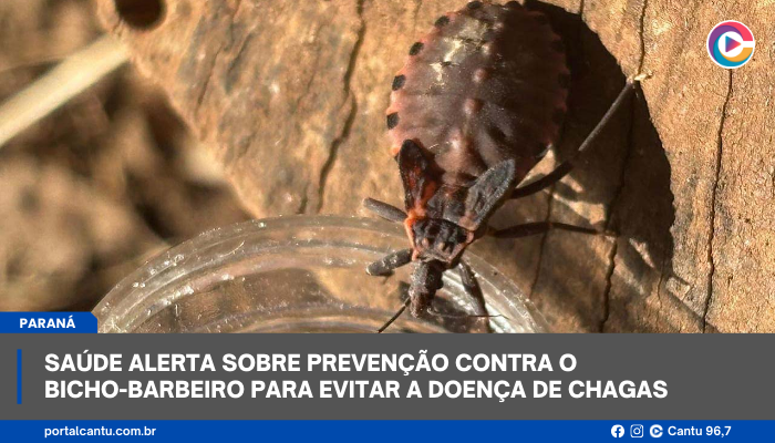 Saúde alerta sobre prevenção contra o bicho-barbeiro para evitar a doença de Chagas