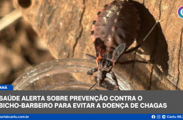 Saúde alerta sobre prevenção contra o bicho-barbeiro para evitar a doença de Chagas