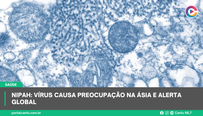 Nipah: vírus causa preocupação na Ásia e alerta global